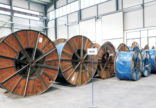 企業(yè)實(shí)力雄厚/技術(shù)力量強(qiáng)大